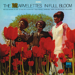 Cover of In Full Bloom