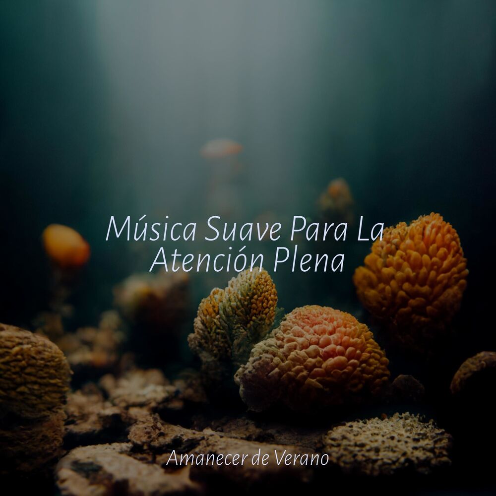 Picture of Música Suave Para La Atención Plena