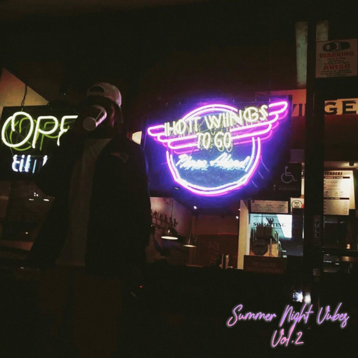 Album cover of Summer Night Vibes, Vol. 2