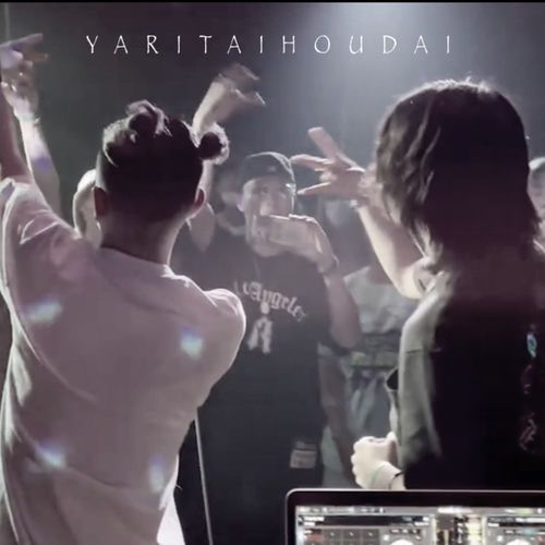 YARITAIHOUDAI