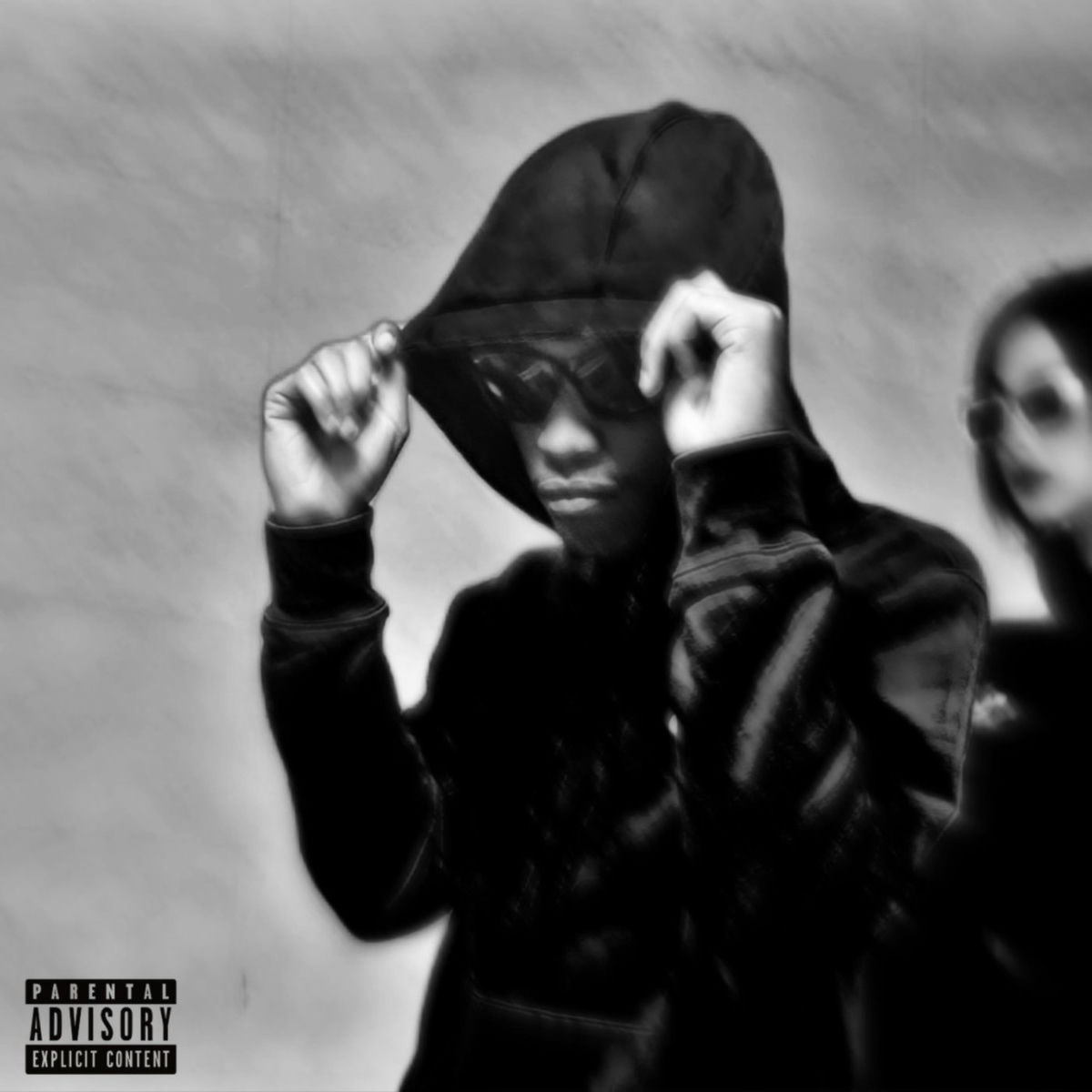 Album cover of THE FLYEST