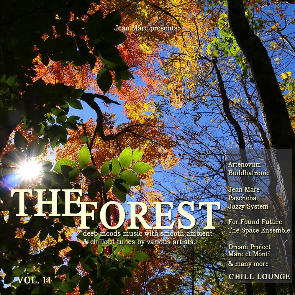 Picture of The Forest Chill Lounge, Vol. 11 (Deep Moods Music with Smooth Ambient & Chillout Tunes)