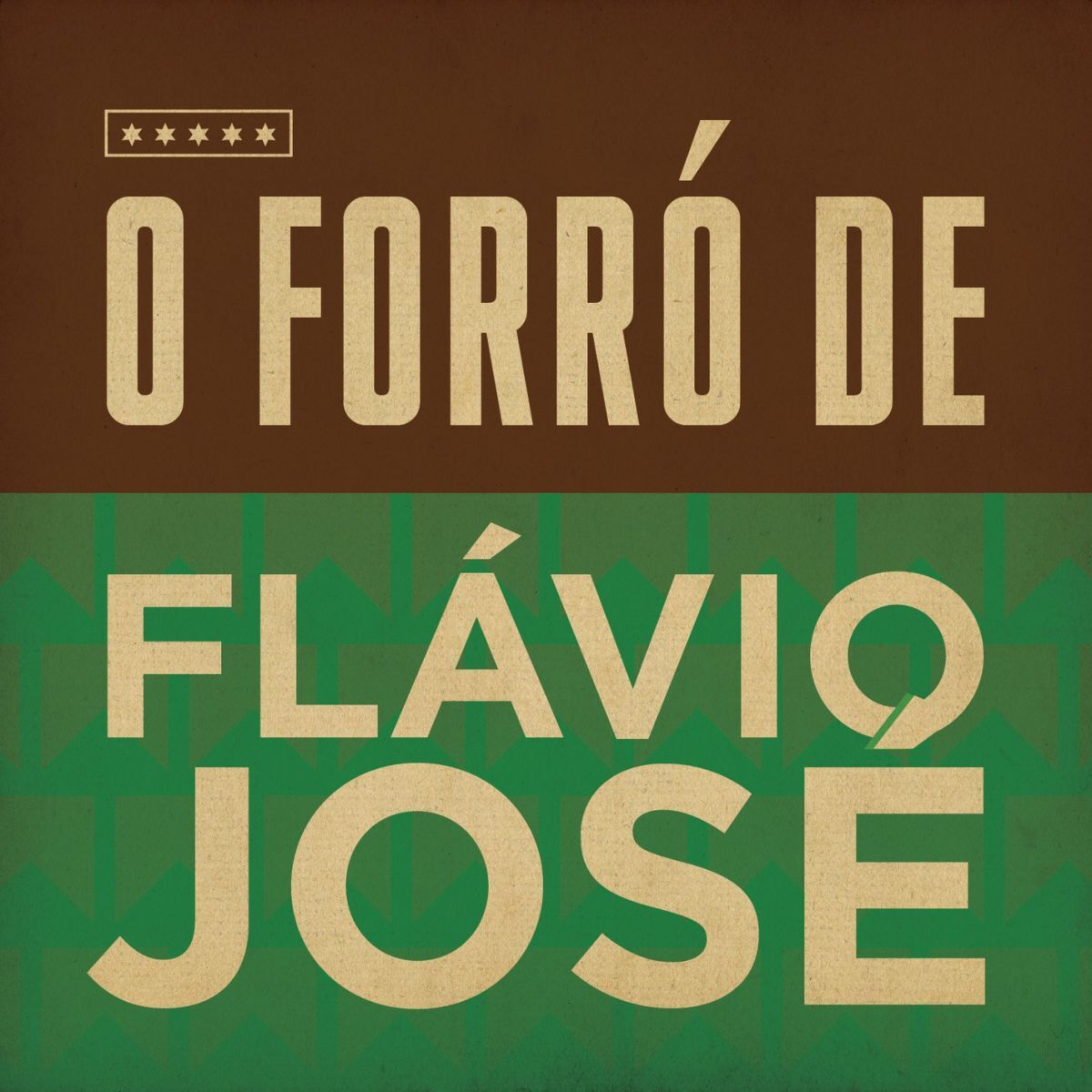 Album cover of O Forró de Flávio José