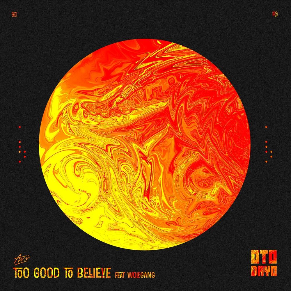Picture of Too Good to Believe