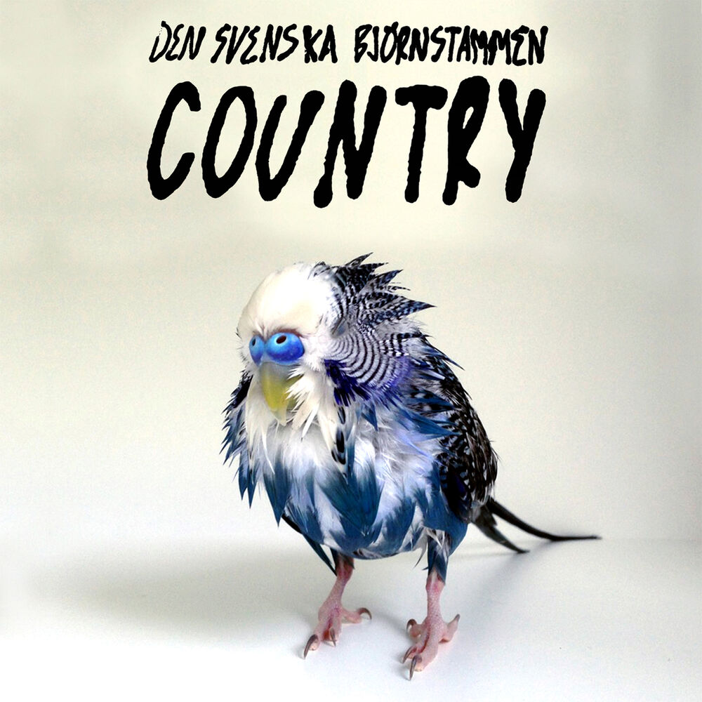 Picture of Country