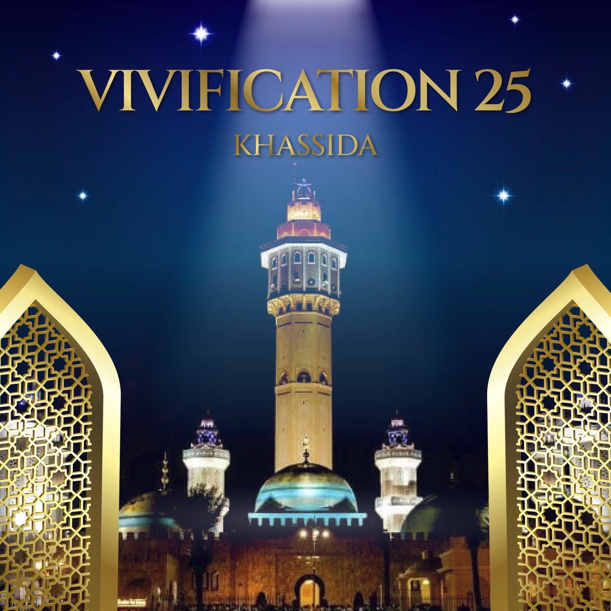 Album cover of Vivification 25