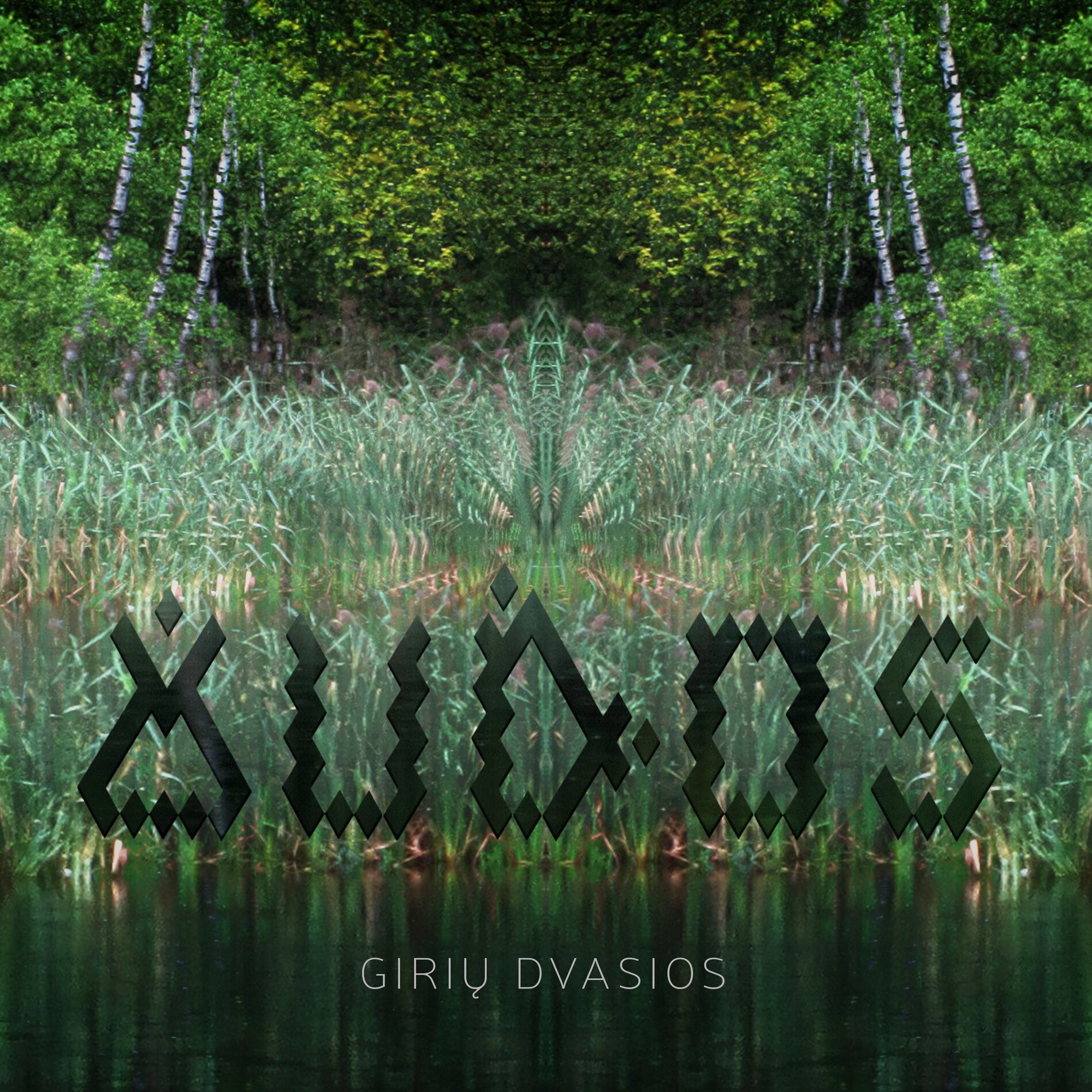 Album cover of Audos