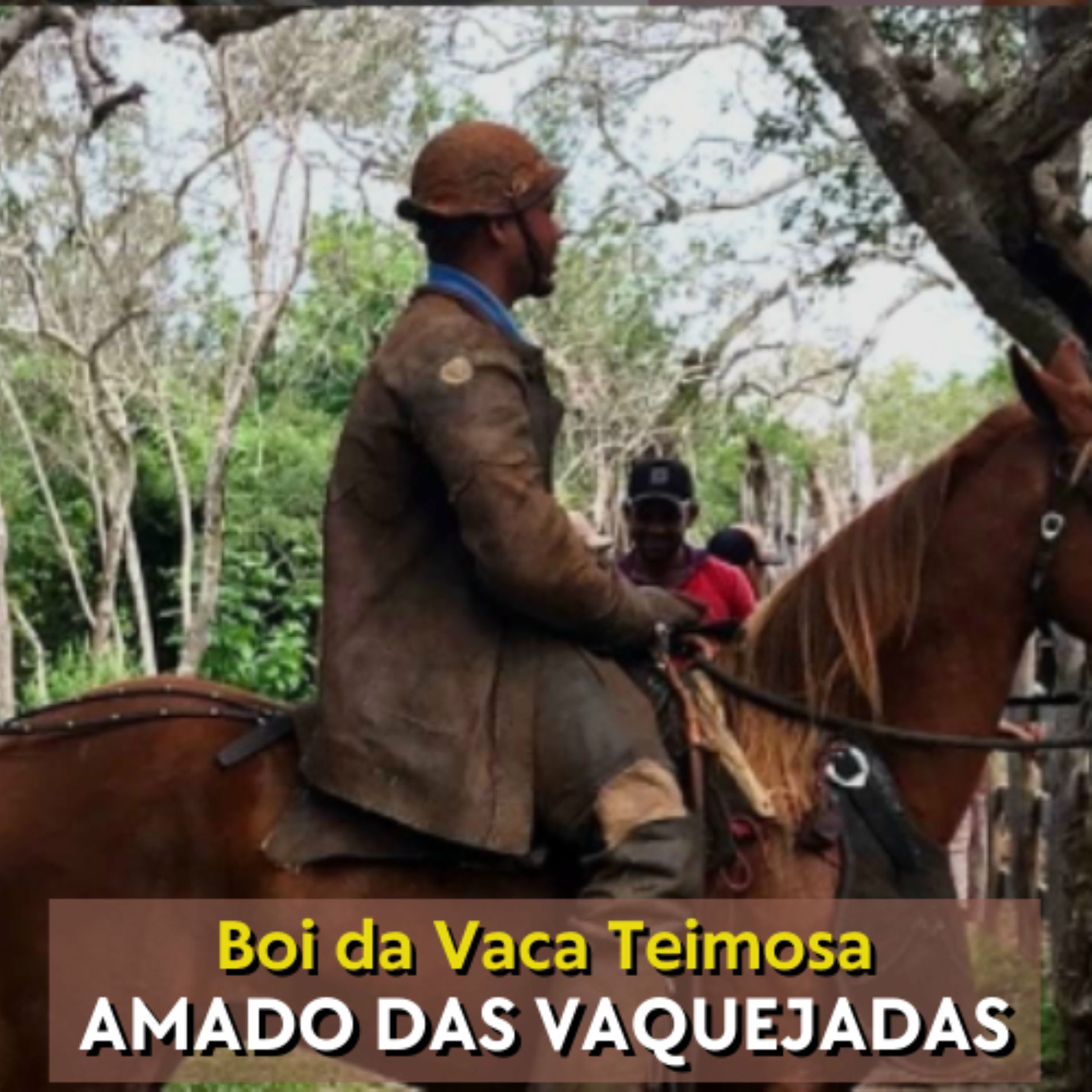 Album cover of Boi da Vaca Teimosa