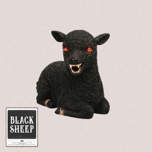 Black Sheep