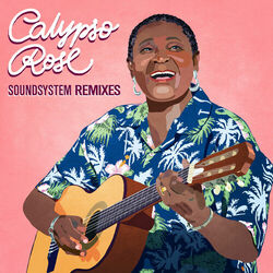 Cover of Soundsystem Remixes