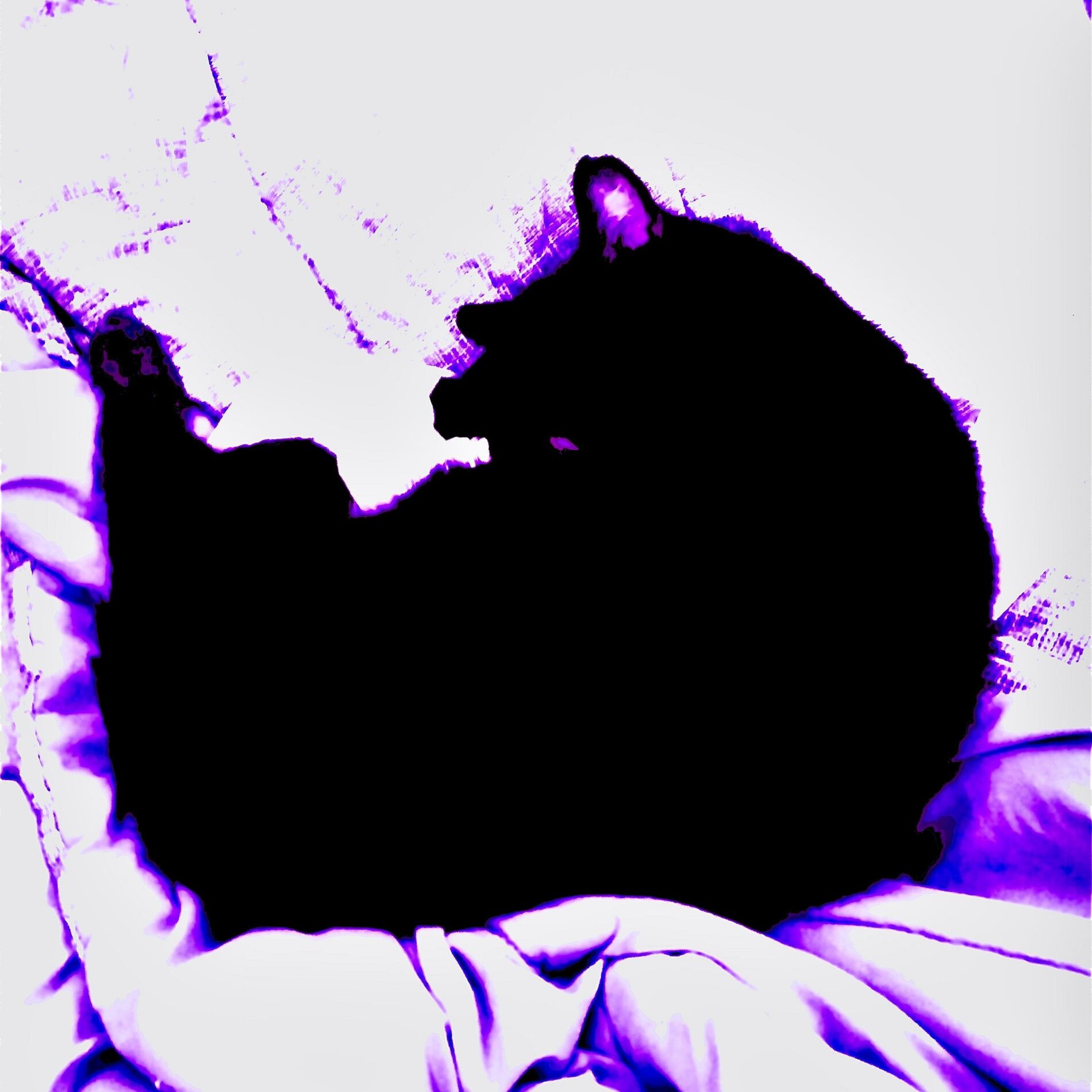 Album cover of hopeless love (feat. Ashurainlove)