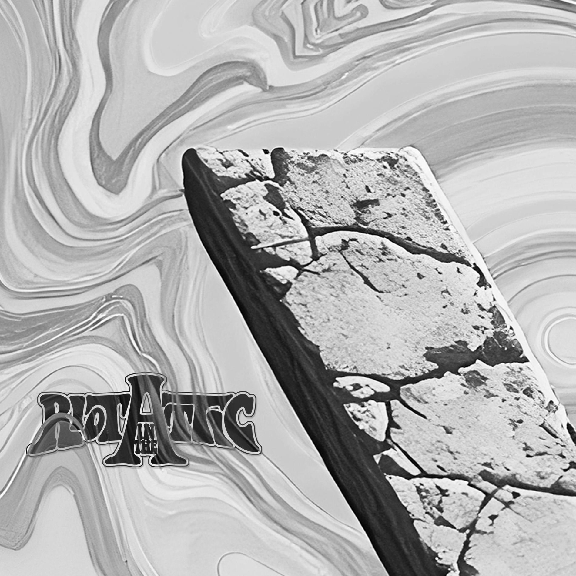 Album cover of Pleasureland (Riot X)