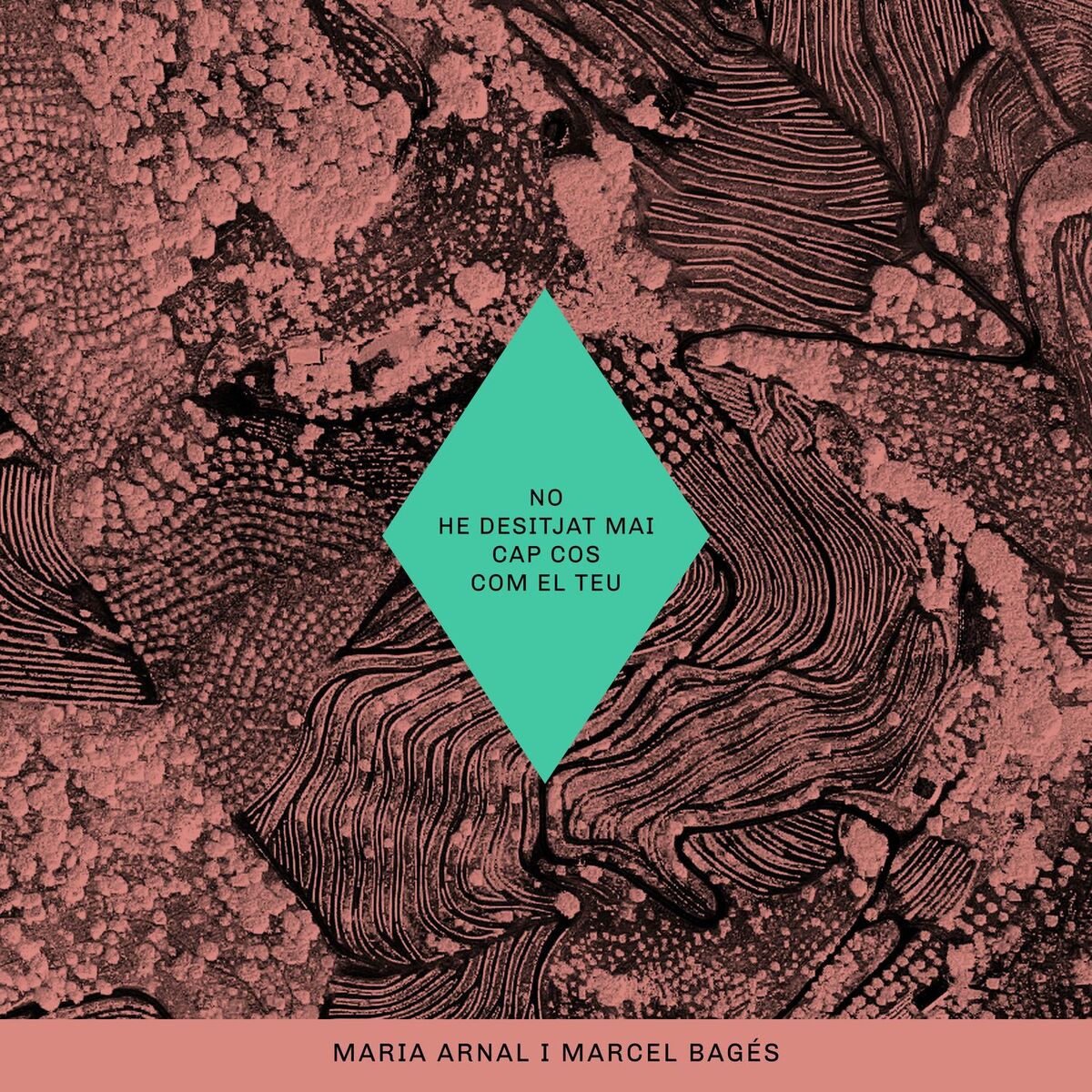 Album cover of No He Desitjat Mai Cap Cos Com el Teu