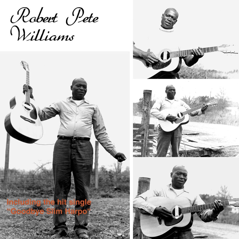 Picture of Robert Pete Williams