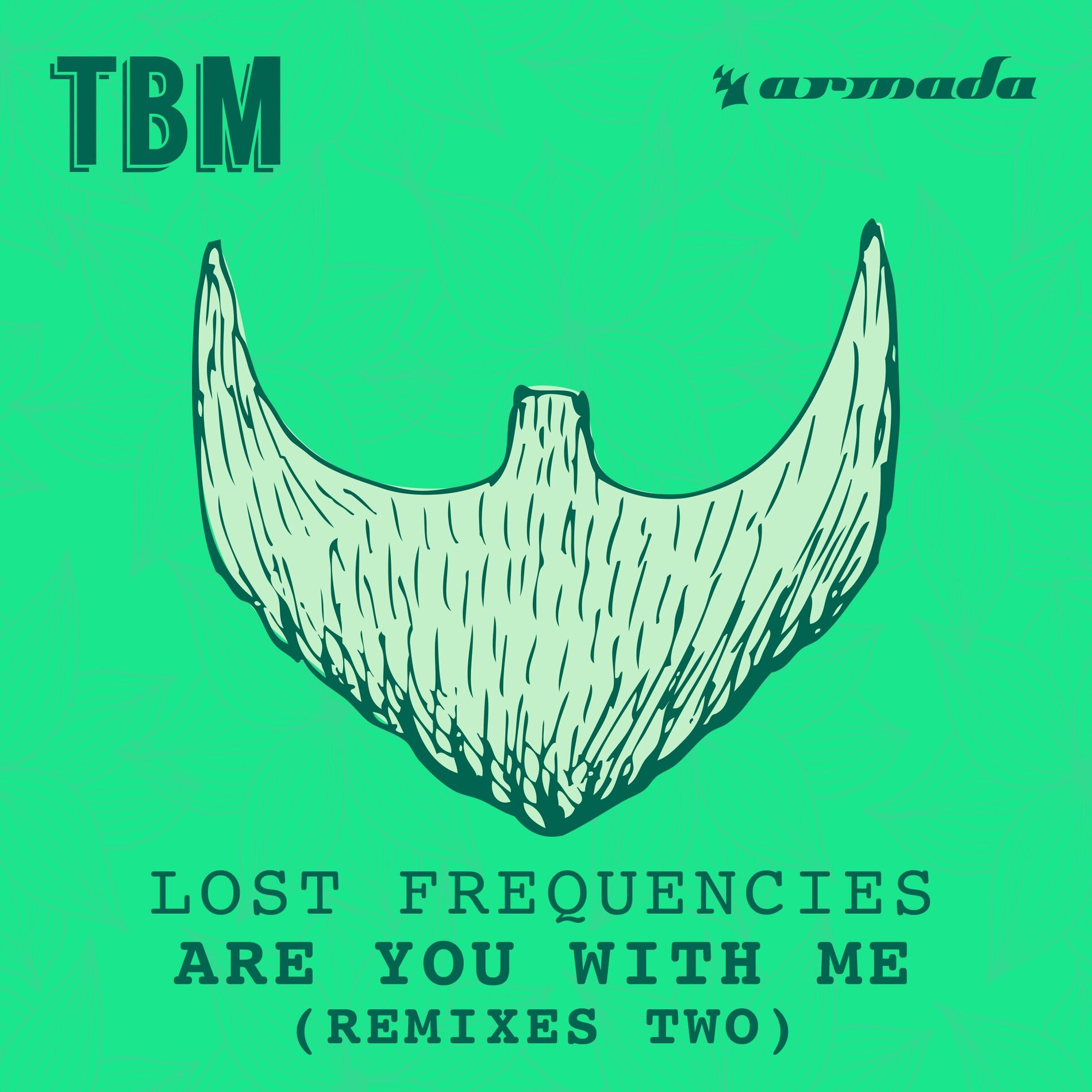 Album cover of Are You With Me (Remixes Two)