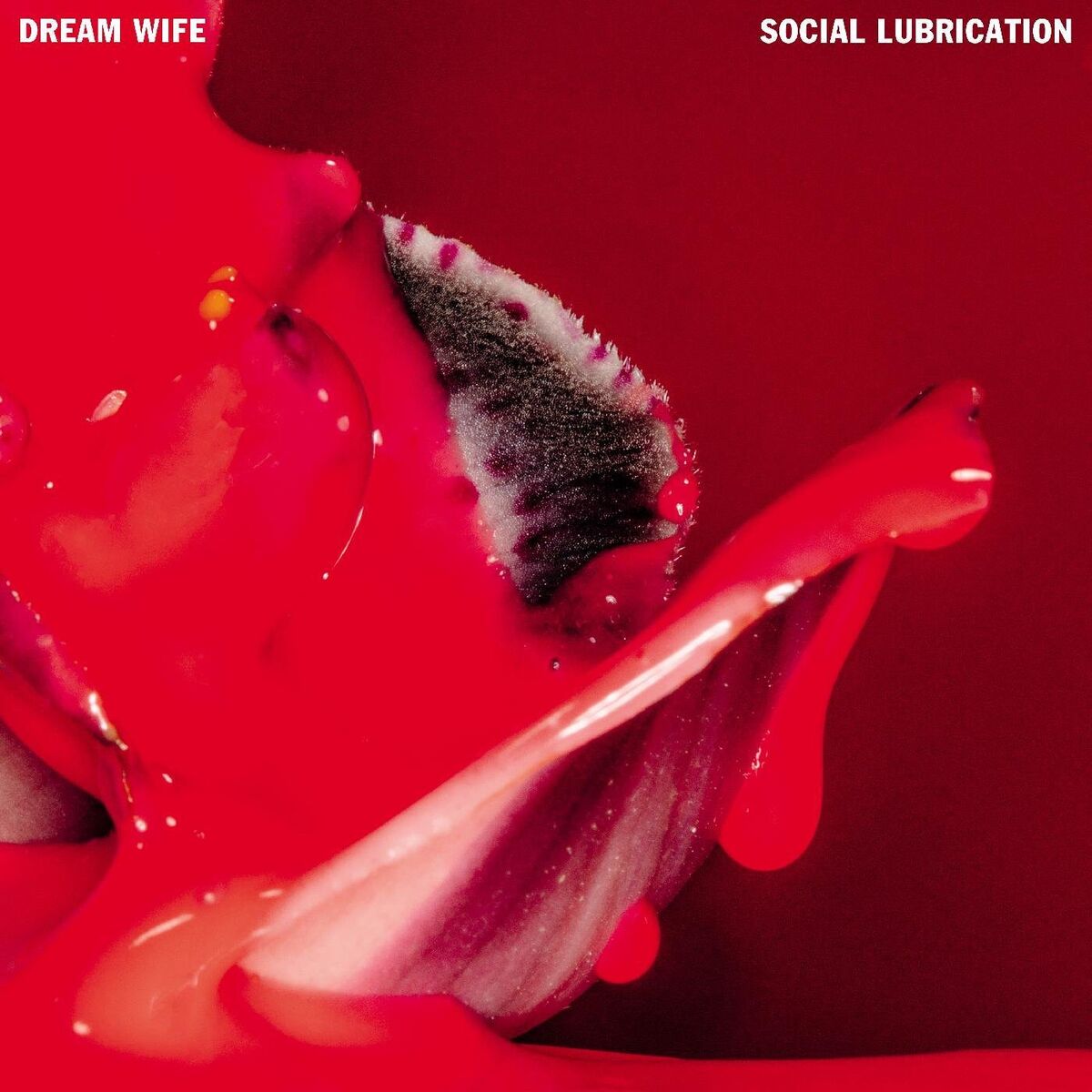 Album cover of Social Lubrication