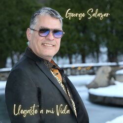 Cover of Llegaste A Mi Vida