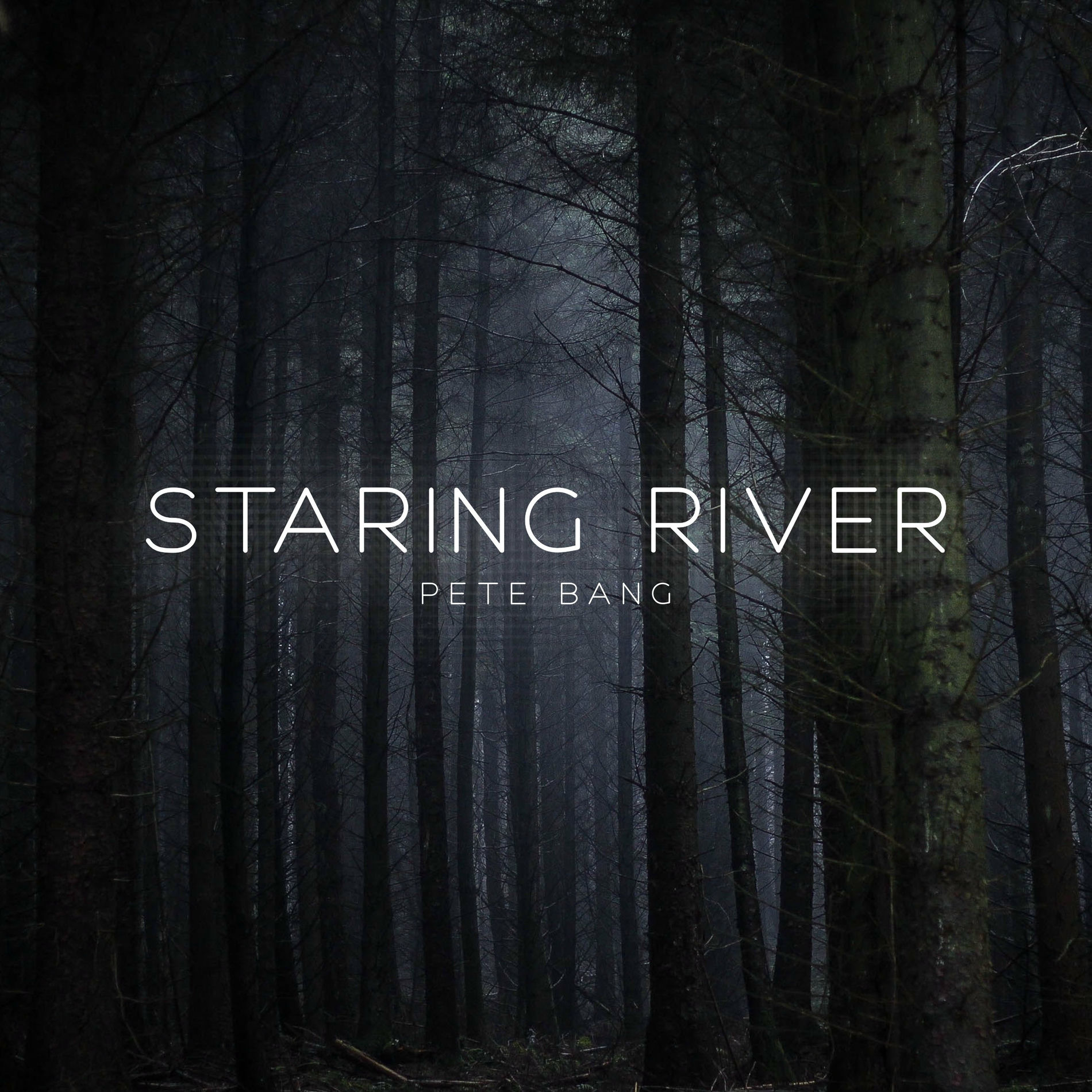 Album cover of Staring River