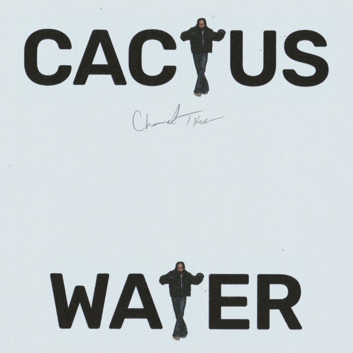 Album cover of Cactus Water