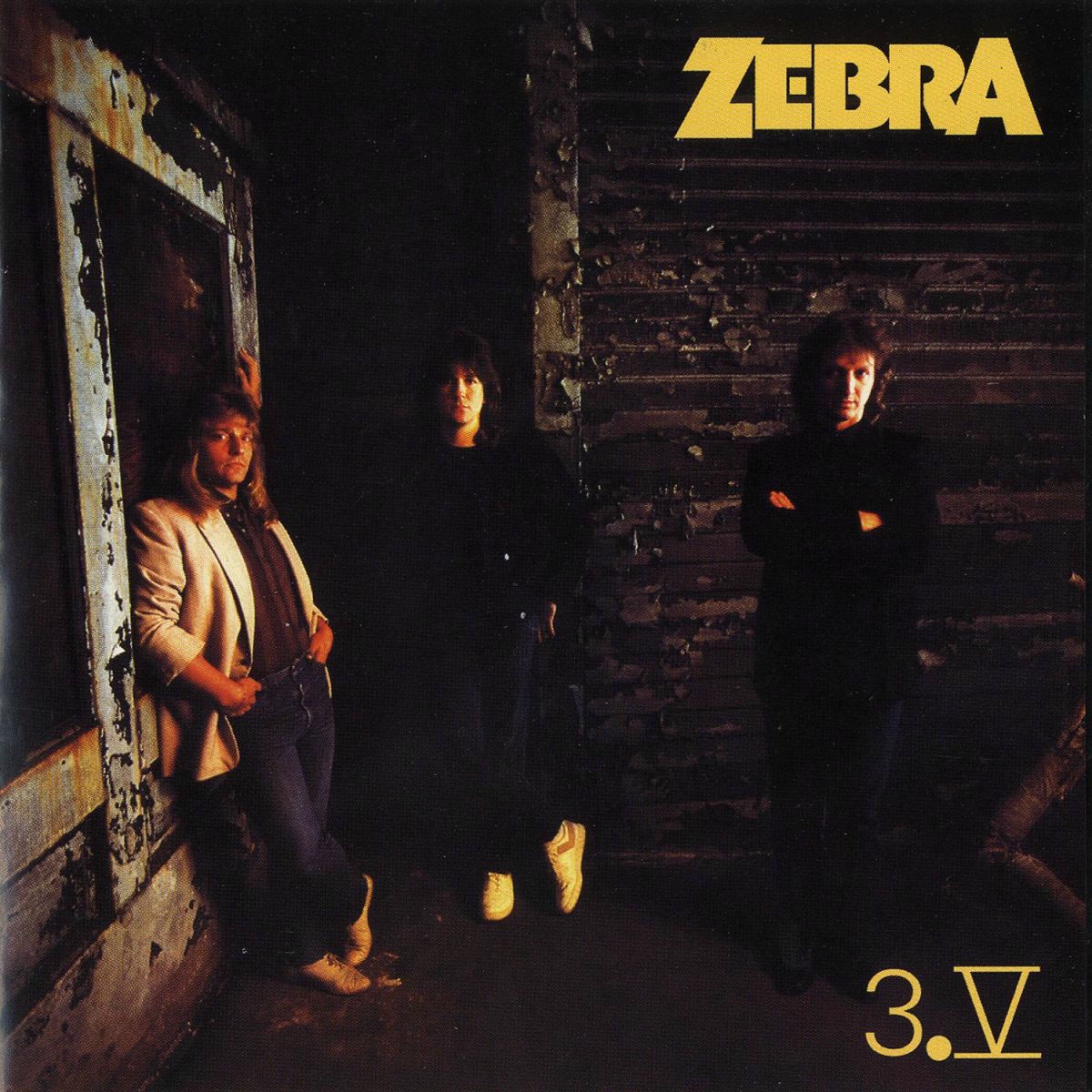 Album cover of 3.V
