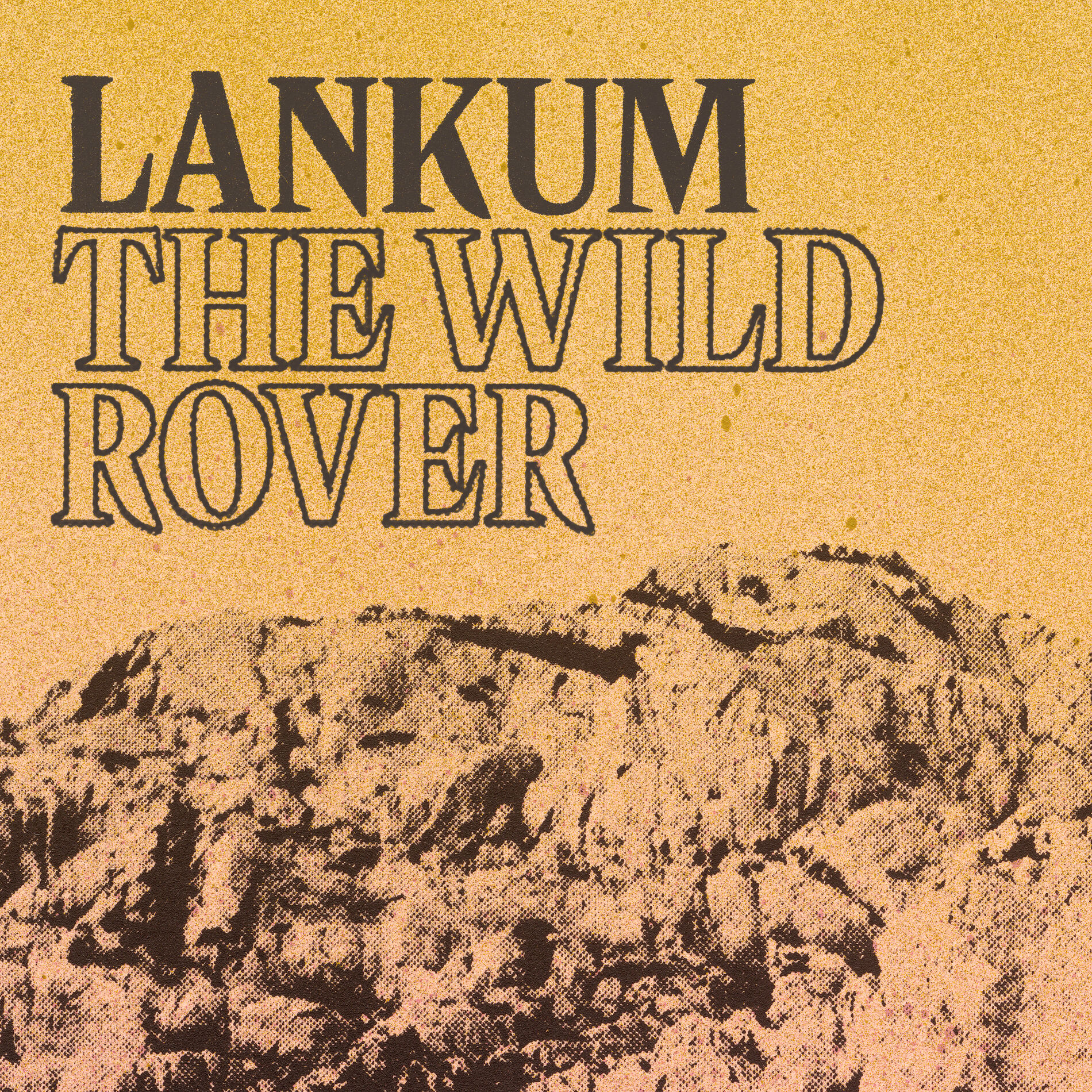 Album cover of The Wild Rover