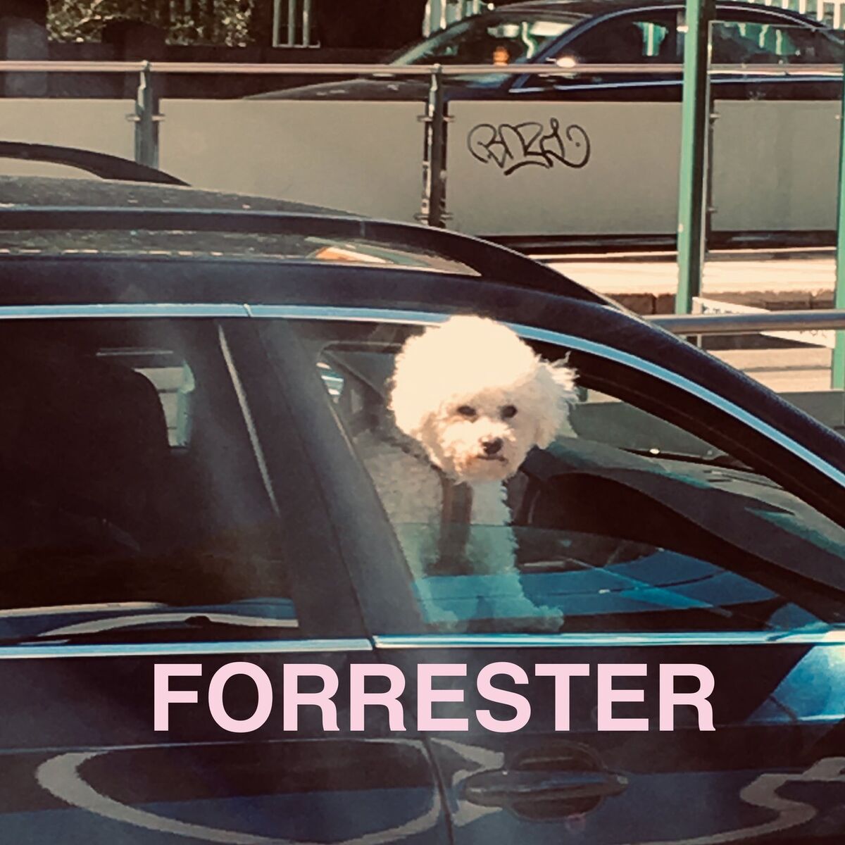 Album cover of SWÖRVAA!