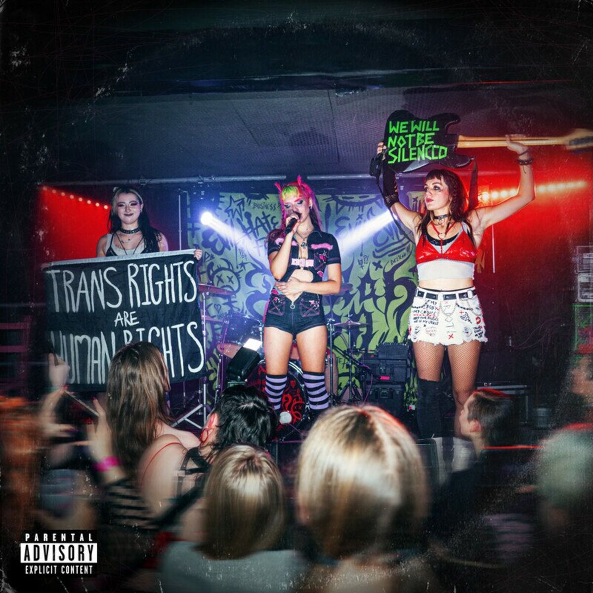 Album cover of Not The President
