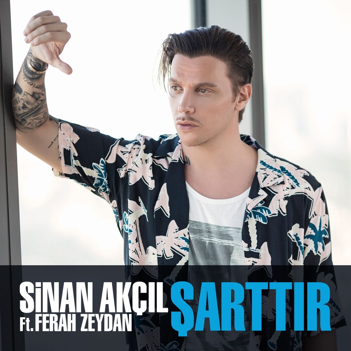 Album cover of Şarttır