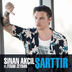 music cover