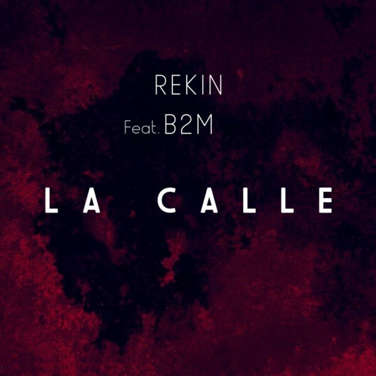 Album cover of La Calle