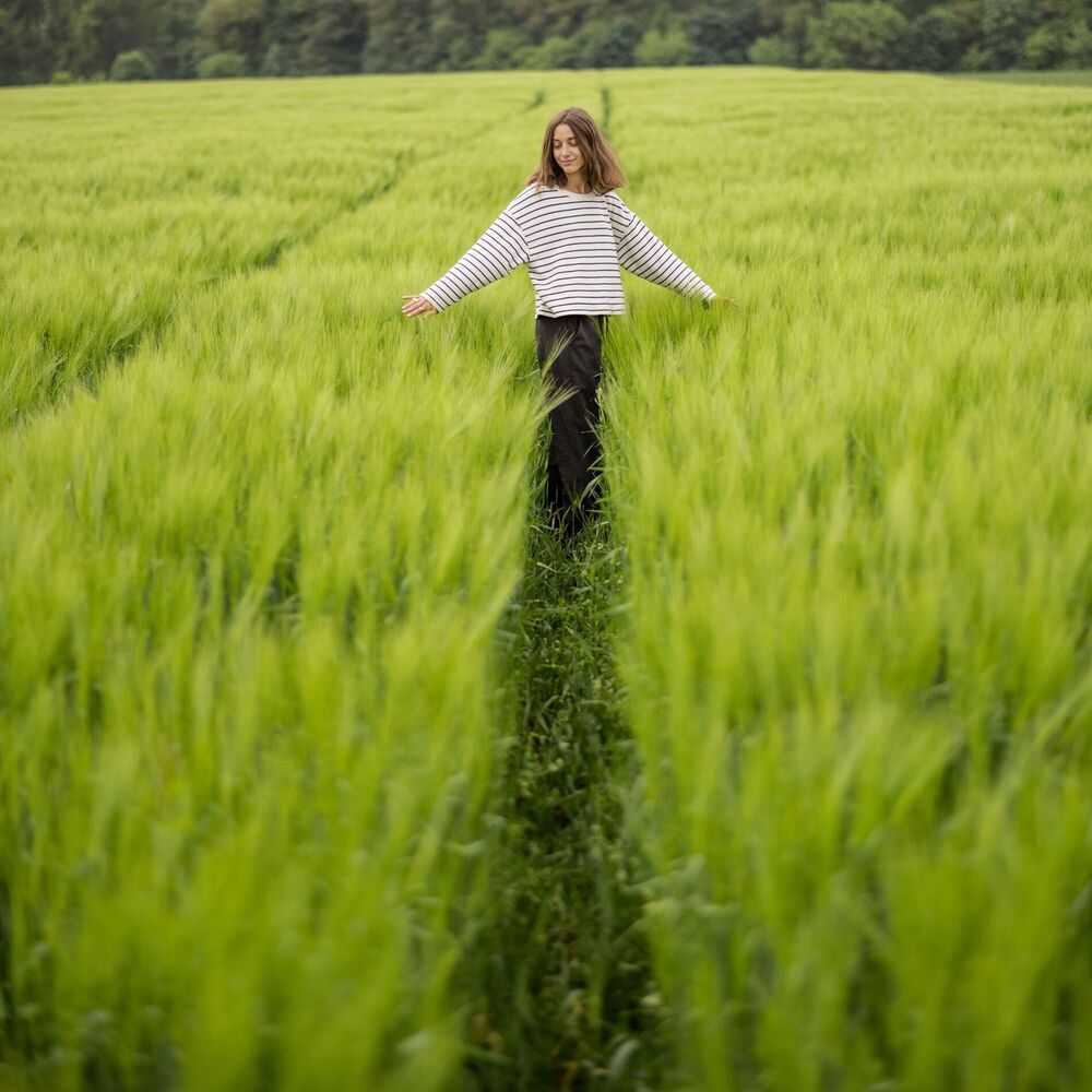 Picture of Nature's Soothing Relaxation Symphony: Rain Melodies