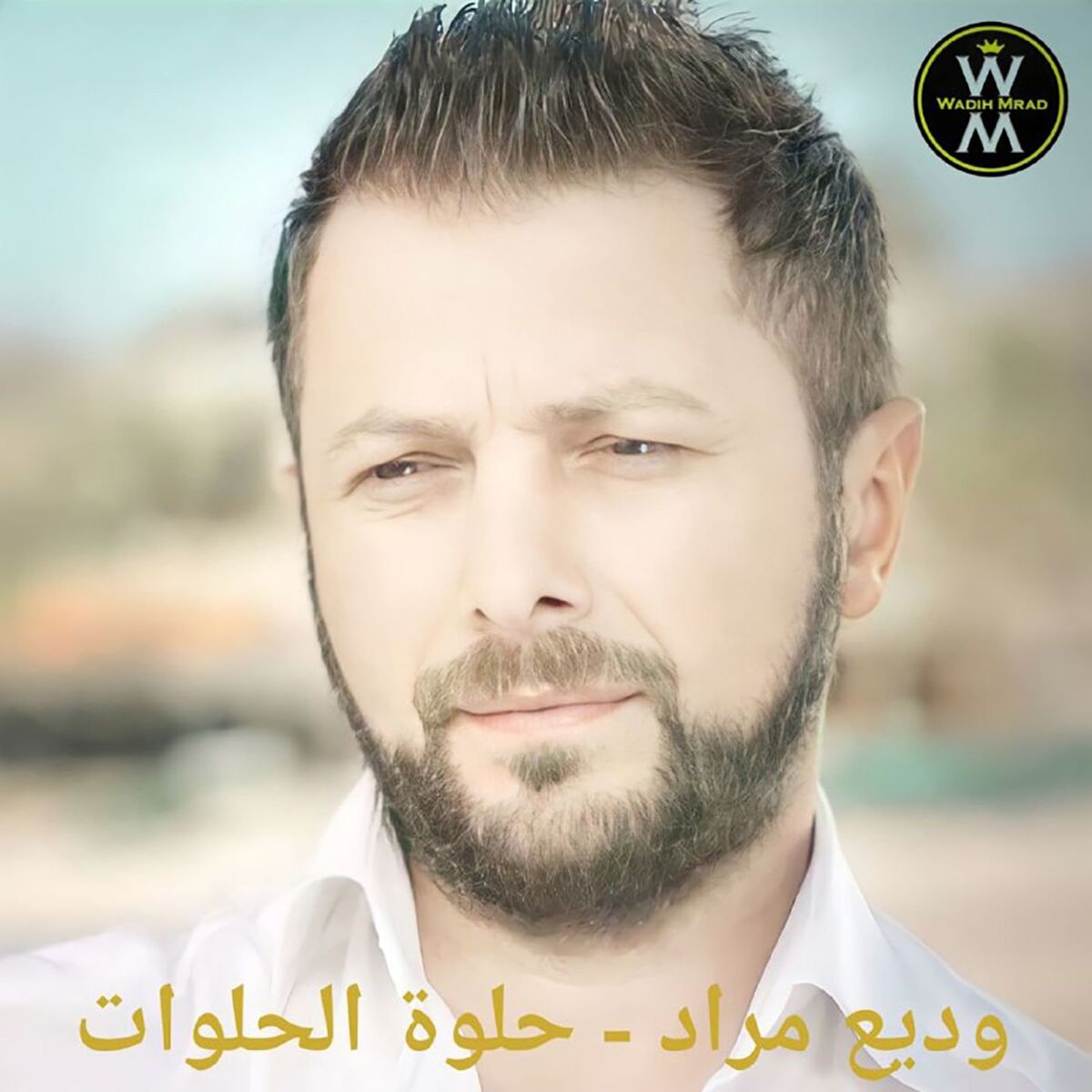Album cover of Helwet El Helwat