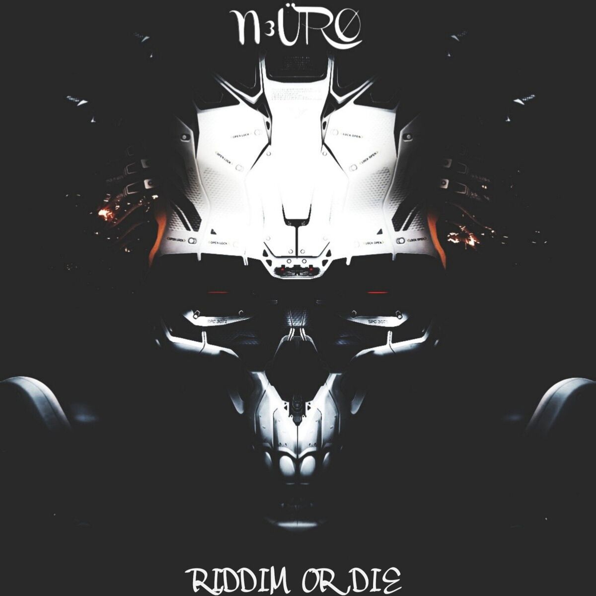 Album cover of Riddim or Die
