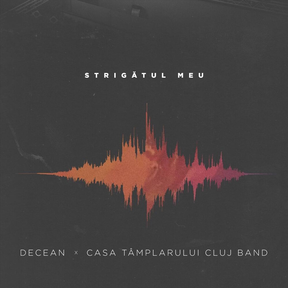 Picture of Strigatul Meu (Live)