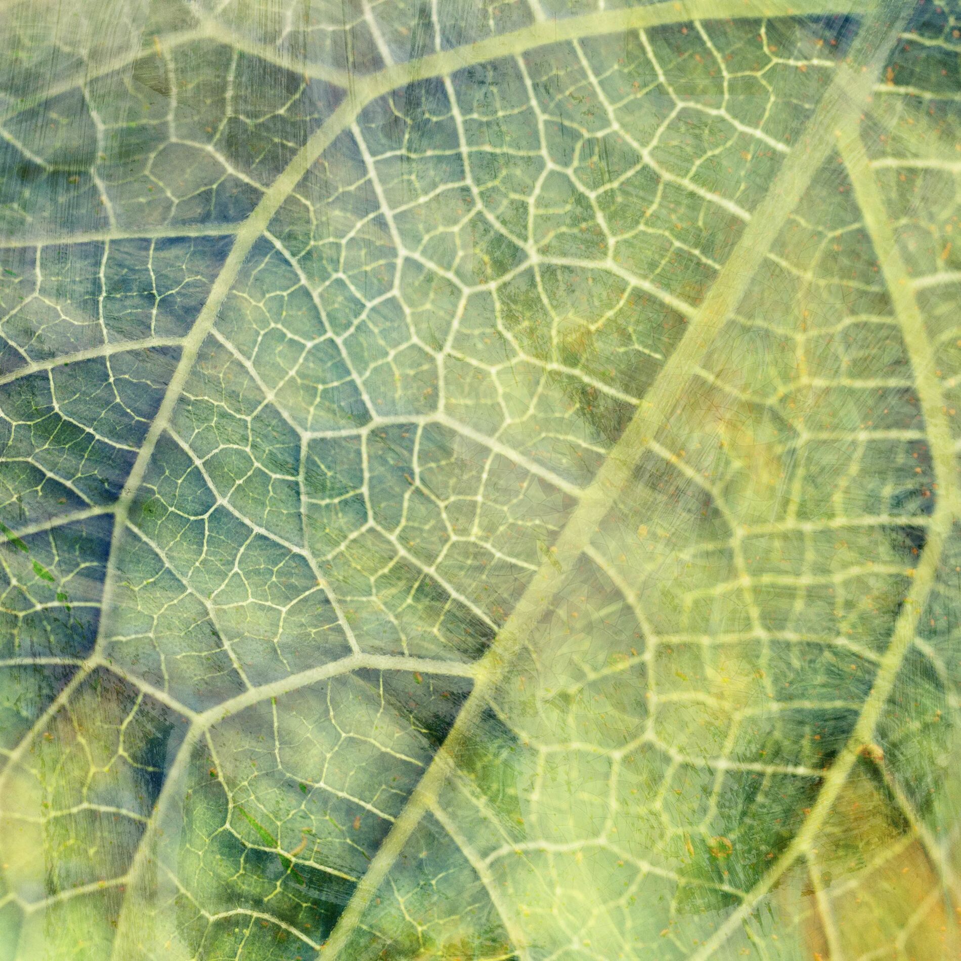 Album cover of Garden Heart: Reworks