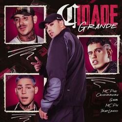 Cover of Cidade Grande