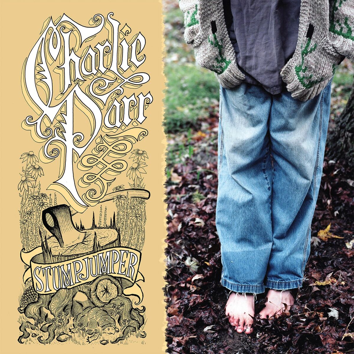 Album cover of Over the Red Cedar