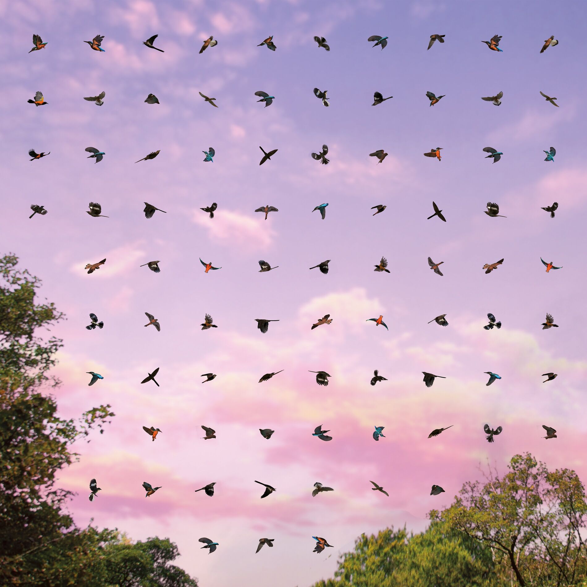 Album cover of Un solo movimiento