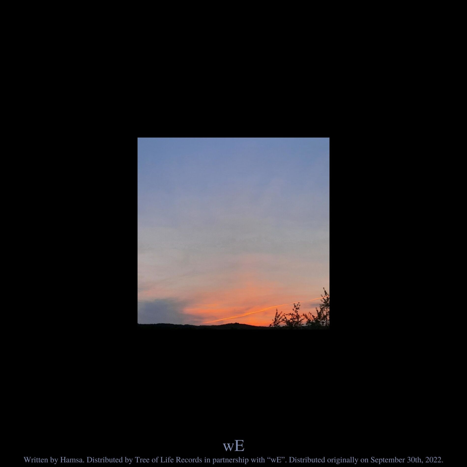 Album cover of a_look_back.wav