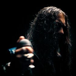 Cover of In The Dark