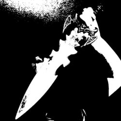 Cover of Set on Fire