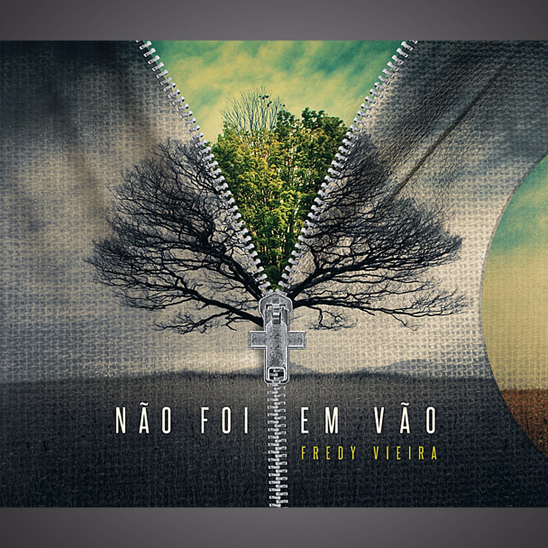 Album cover of Não Foi Em Vão