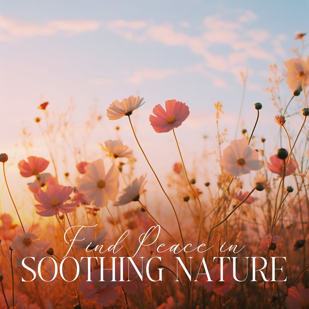 Picture of Find Peace in Soothing Nature