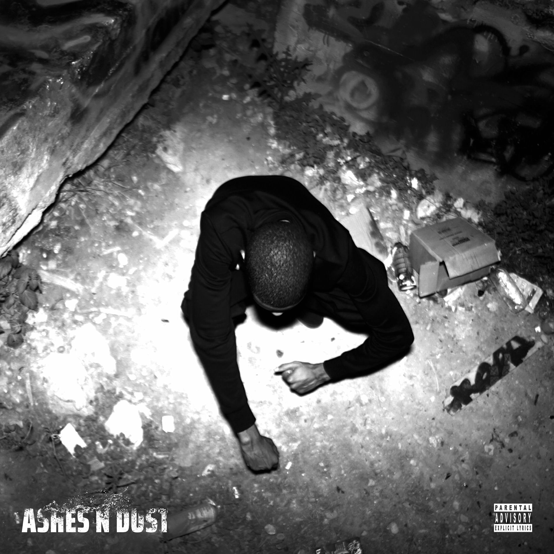 Album cover of Ashes N Dust