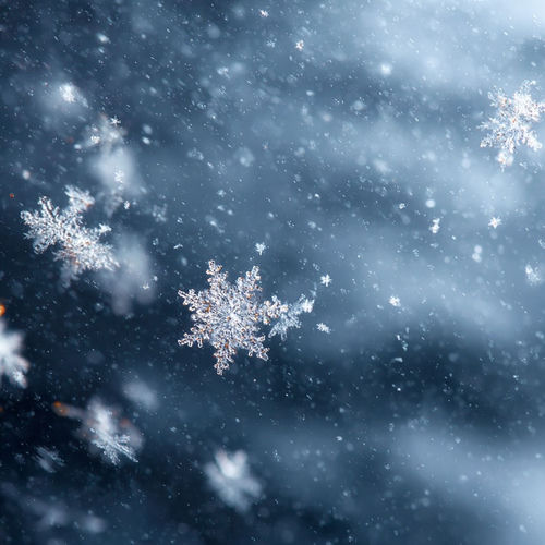 雪落下来时 我正在想你