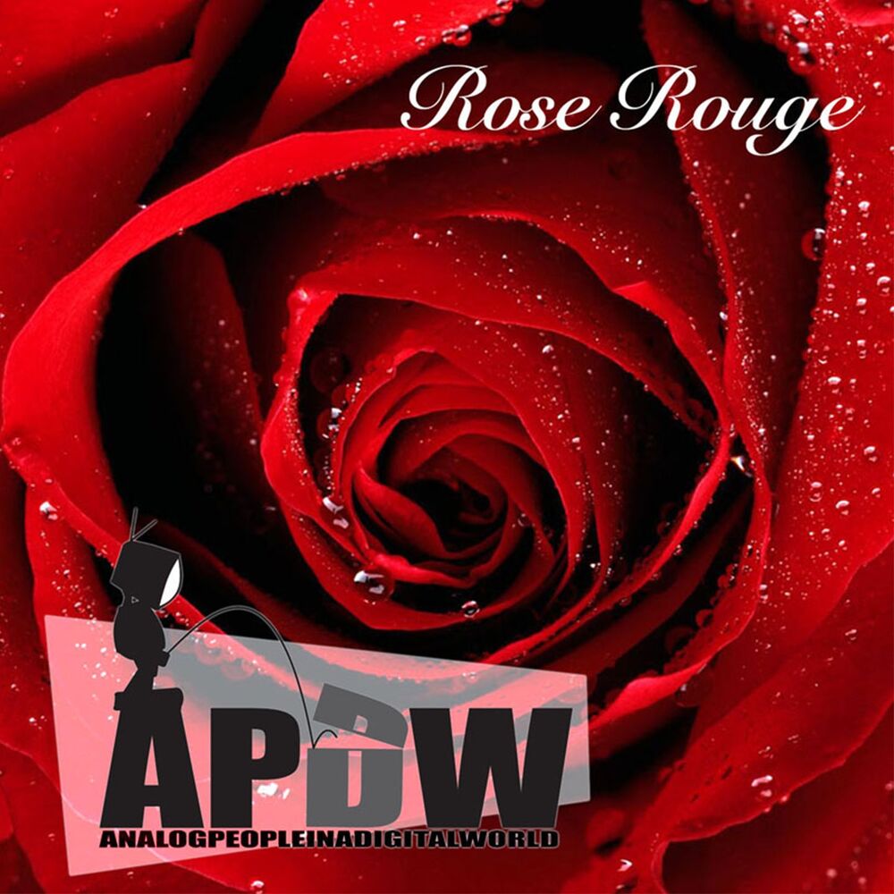 Picture of Rose rouge