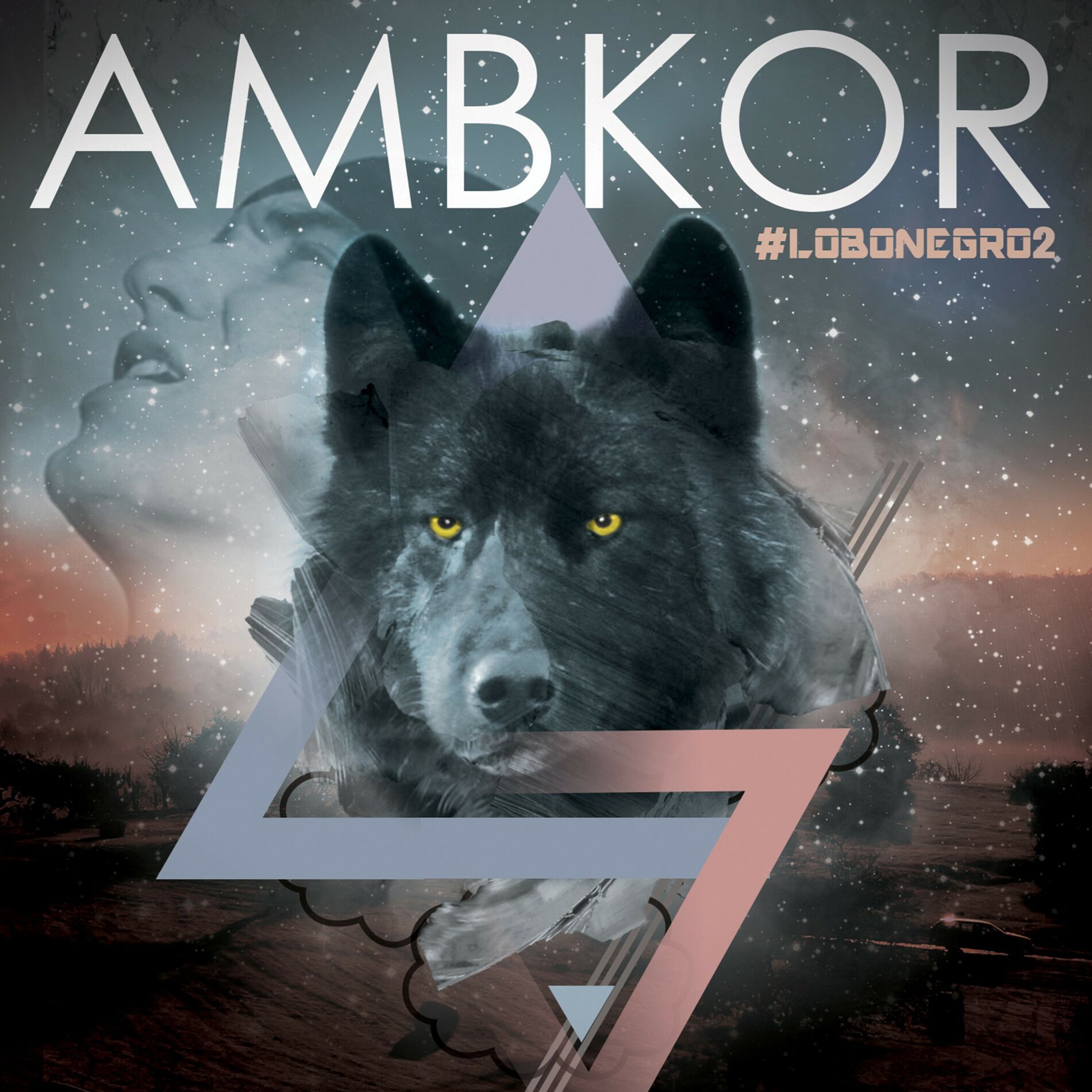Album cover of Lobo Negro 2