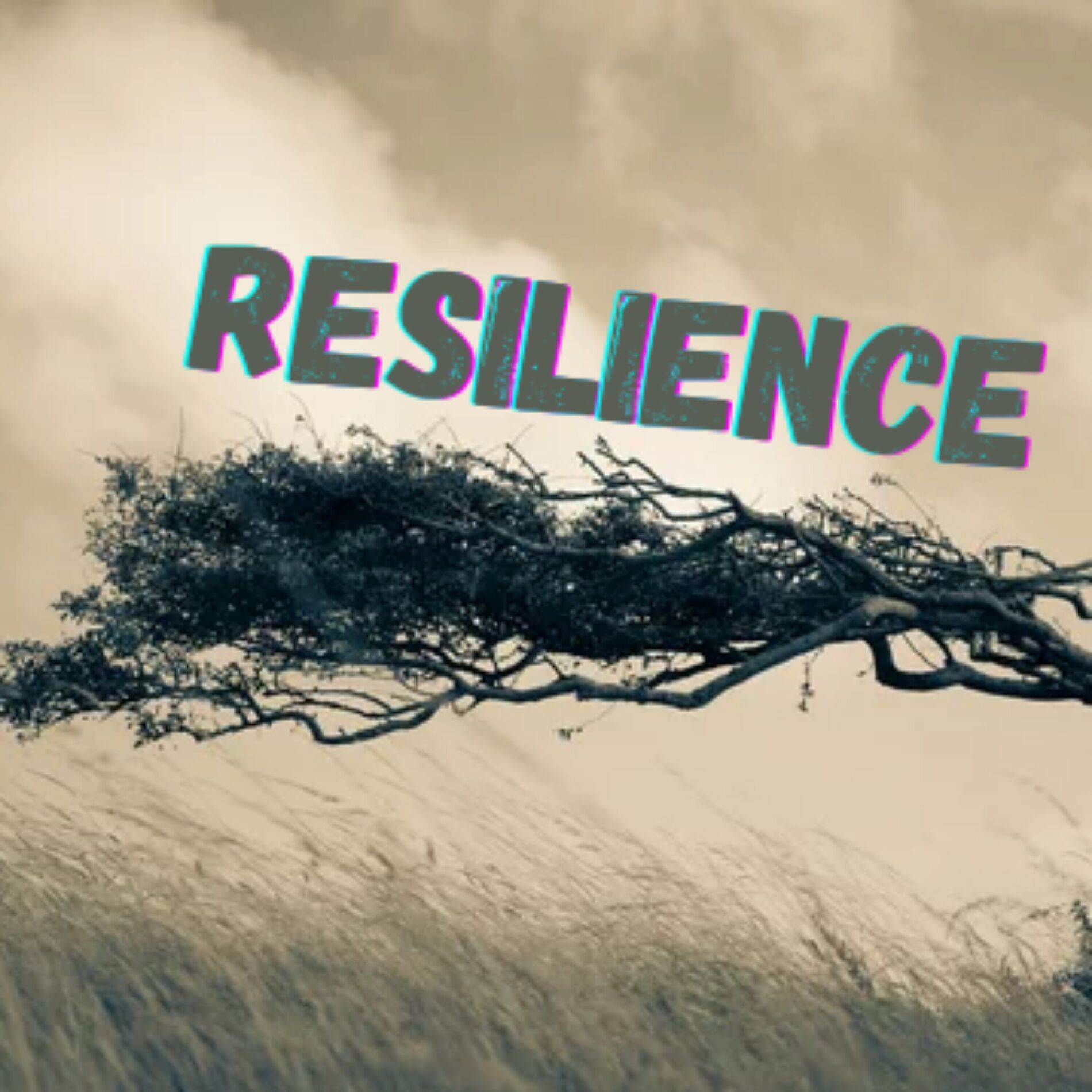 Album cover of Resilience