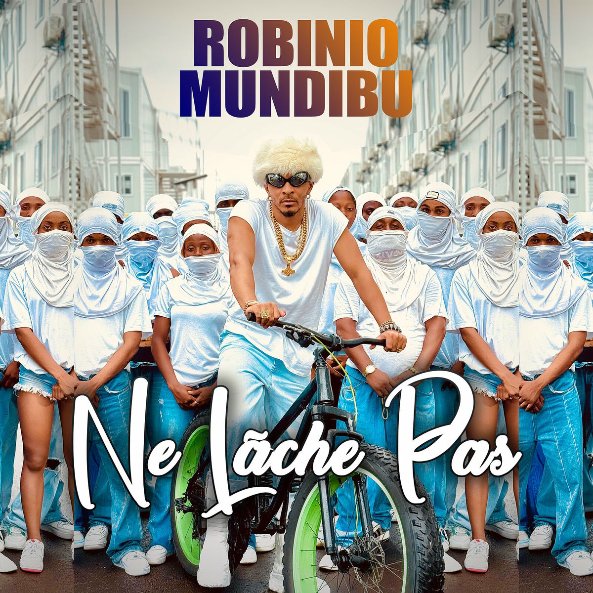 Album cover of Ne Lâche Pas