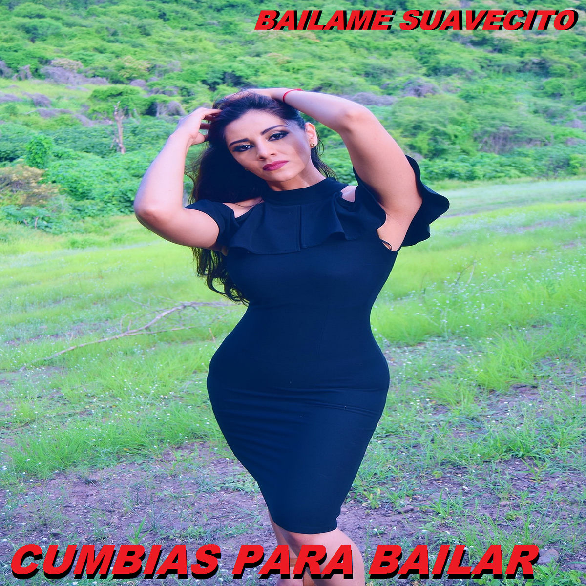 Album cover of El Pipiripao